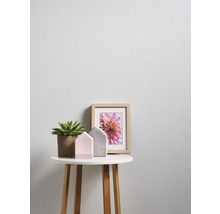 Décoration avec succulente, cadre photo et maisons décoratives sur table d''appoint