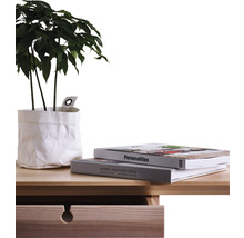 Plante d''intérieur décorative dans un pot en papier sur une table en bois avec des livres.