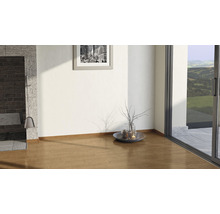 Intérieur avec plancher en bois, cheminée et décoration