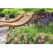 Zwei Holzliegen im Garten mit Blumen
