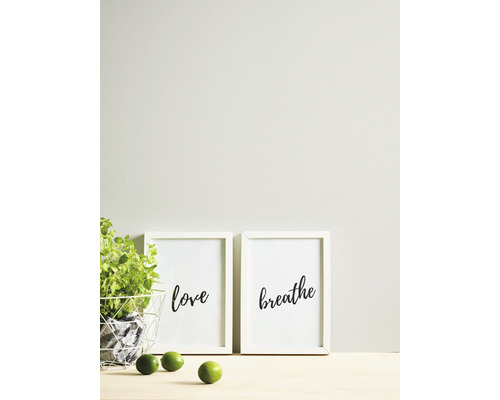 Dekorative Szene mit Pflanze, Limetten und gerahmten Postern mit den Worten Liebe und Atmen