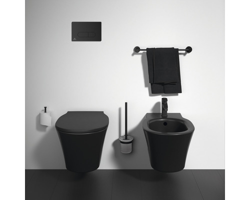 Badezimmerausstattung mit Toilette, Bidet und Accessoires
