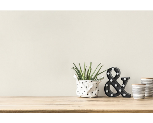 Scène décorative avec plante en pot, luminaire esperluette et récipients décoratifs sur une table