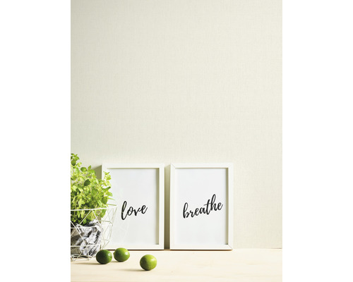 Scène décorative avec des plantes, des citrons verts et deux posters encadrés avec les mots Amour et Respiration