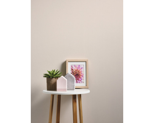 Scène décorative avec plante en pot, décorations de maison et photo de fleur encadrée sur une table