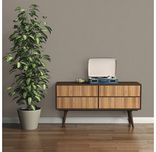 Wohnzimmer Szene mit Kommode, Pflanze und Schallplattenspieler