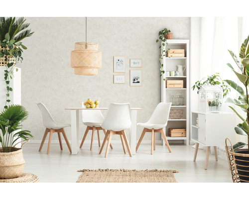 Salle à manger lumineuse avec table, chaises, étagères et plantes d''intérieur pour une ambiance conviviale.