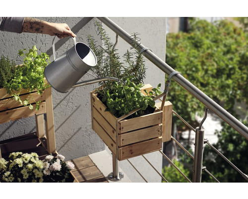 Arrosoir arrosant des herbes dans une caisse en bois sur un balcon.