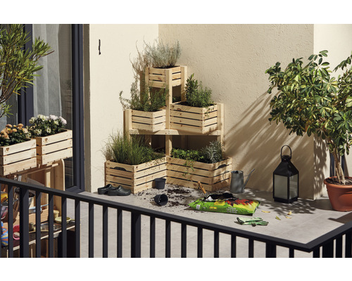 Scène de balcon avec étagères en caisses de bois plantées, terreau, arrosoir et lanterne