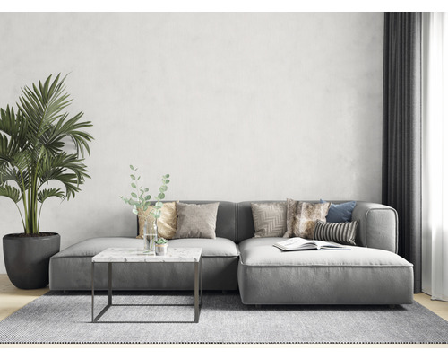 Salon avec canapé d''angle gris, table basse avec plateau en marbre et plante d''intérieur