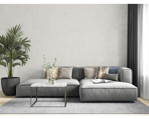 Salon avec canapé gris, table basse, plante d''intérieur et tapis