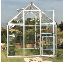 Serre avec plantes et porte ouverte dans le jardin.
