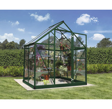Serre avec plantes sur pelouse