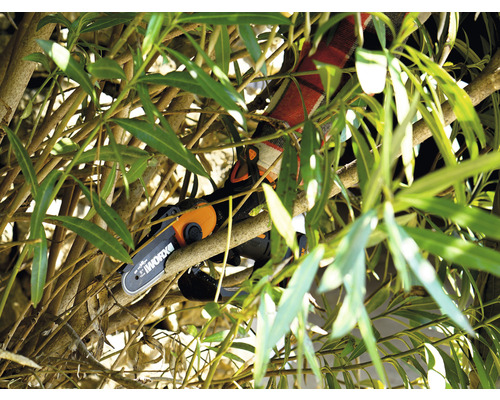 Une tronçonneuse à batterie coupe les branches d''un arbre