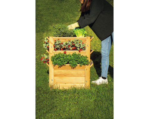Jardinière en bois avec fraises, salade et herbes aromatiques dans le jardin