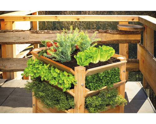 Jardinière surélevée en bois avec différents légumes sur une terrasse