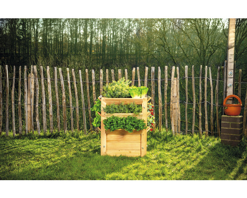 Jardinière surélevée en bois avec diverses herbes et salades dans le jardin