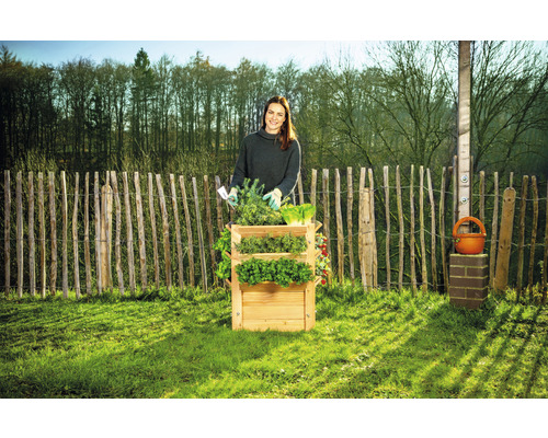 Une femme plante des herbes aromatiques et de la salade dans un rayonnage en bois dans le jardin.