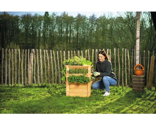 Femme plantant un rayonnage à herbes en bois dans le jardin