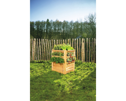 Jardinière surélevée en bois avec herbes et plantes dans le jardin.