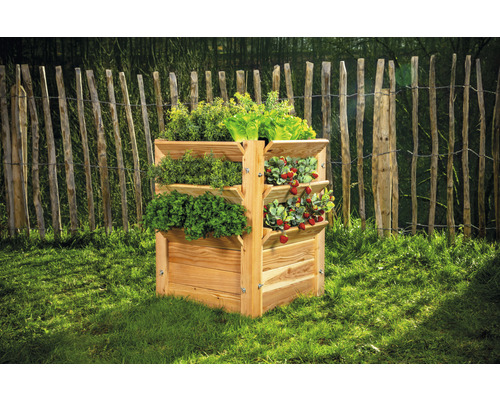 Jardinière surélevée en bois avec des herbes et des fraises dans le jardin