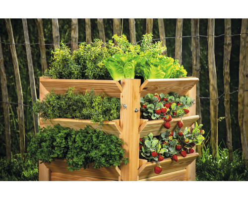 Jardinière verticale en bois avec fraises, salade et herbes aromatiques