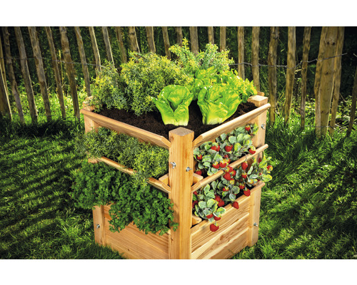 Jardinière à herbes aromatiques triangulaire à plusieurs niveaux en bois avec laitue, fraises et herbes aromatiques