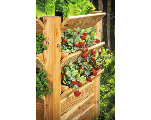 Jardinière surélevée en bois avec fraises, salade et herbes aromatiques