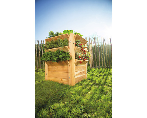 Jardinière surélevée en bois avec diverses plantes dans le jardin