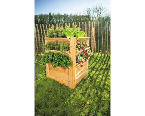 Jardinière surélevée en bois avec herbes aromatiques et fraises dans le jardin