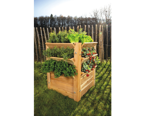 Jardinière surélevée en bois avec herbes aromatiques, salade et fraises dans le jardin