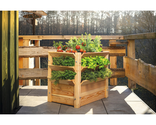 Hochbeet aus Holz mit mehreren Ebenen und verschiedenen Kräutern und Gemüsesorten.