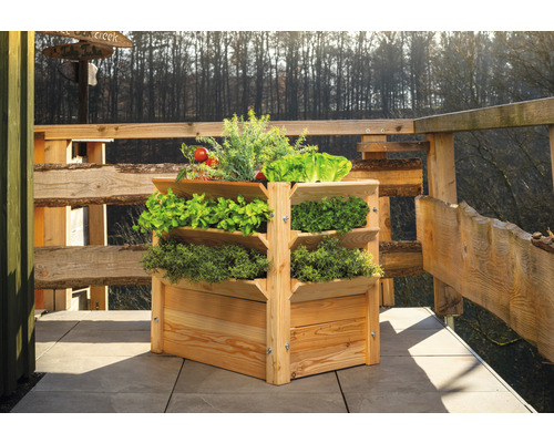 Holz Pflanztrog mit Gemüsesorten auf einer Terrasse