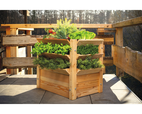 Hochbeet aus Holz mit verschiedenen Kräutern und Gemüsesorten