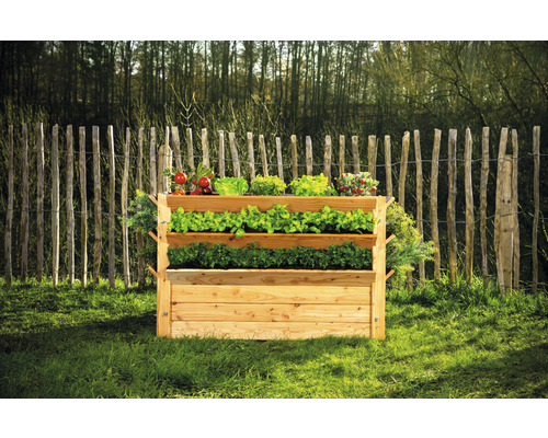 Jardinière surélevée en bois à trois niveaux avec différents légumes dans le jardin.