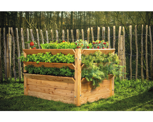 Jardinière surélevée en bois avec différents légumes dans le jardin