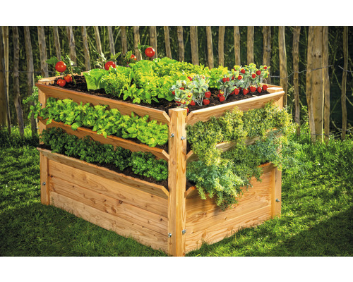 Jardinière surélevée en bois avec salade, fraises et tomates dans le jardin.