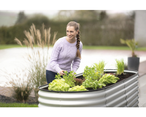 Femme jardinant dans un potager surélevé avec de la salade et des herbes aromatiques dans le jardin.