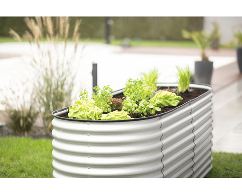 Jardinière surélevée en métal avec salade et herbes aromatiques dans le jardin