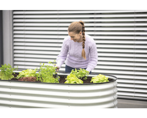 Une femme travaille dans un potager surélevé avec de la salade et des herbes aromatiques.