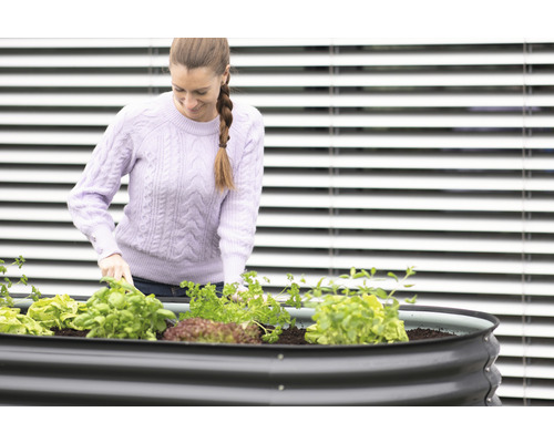 Femme travaillant dans un parterre de jardin avec de la laitue et des herbes aromatiques.