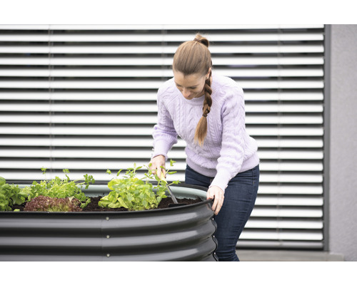 Femme travaille dans le jardin potager avec des légumes.