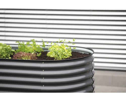 Jardinière surélevée en métal avec salade, herbes aromatiques et terre