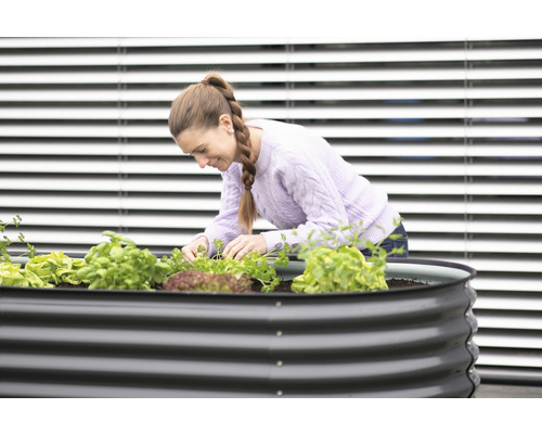 Une femme plante de la salade et des herbes aromatiques dans une jardinière surélevée.