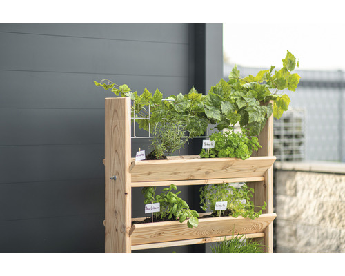 Jardinière surélevée en bois avec herbes et plantes pour le jardin ou le balcon