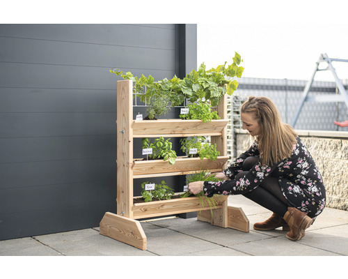 Une femme récolte des herbes aromatiques d''un support à herbes en bois sur une terrasse
