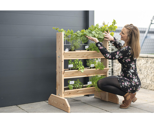 Étagère en bois avec des herbes aromatiques et une femme qui regarde les plantes