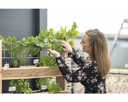 Une femme arrange des herbes aromatiques dans une étagère à herbes en bois pour le jardin