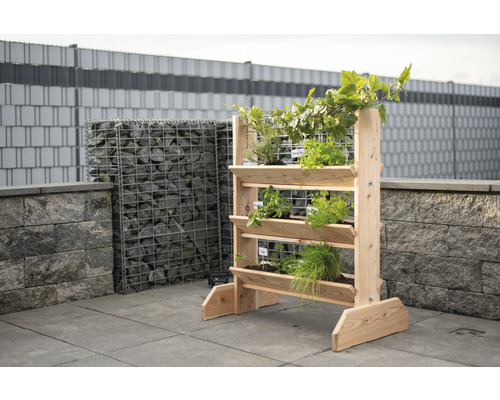 Jardinière surélevée en bois avec diverses herbes dans le jardin