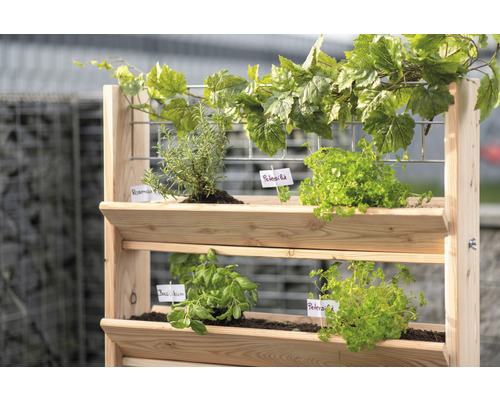 Jardinière surélevée en bois avec des herbes telles que le basilic, le persil et le romarin